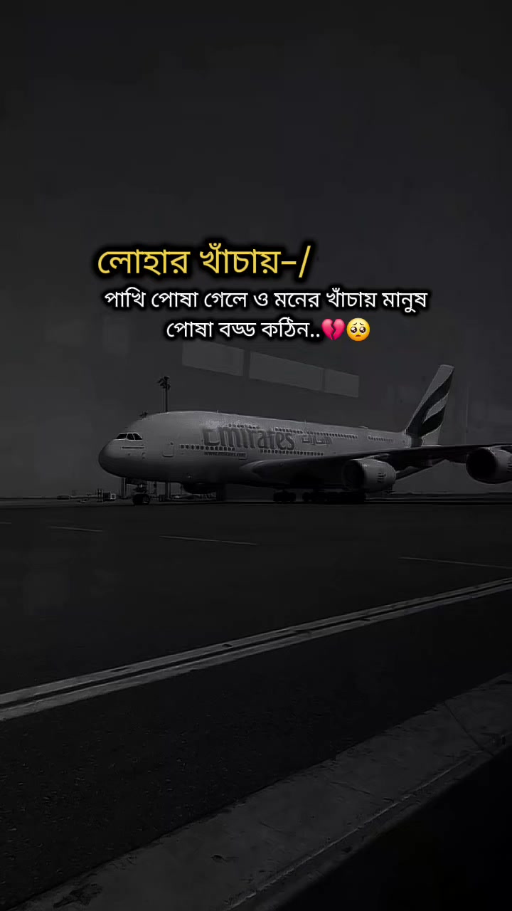 @★★প্রবাস জীবন >✈🖋️