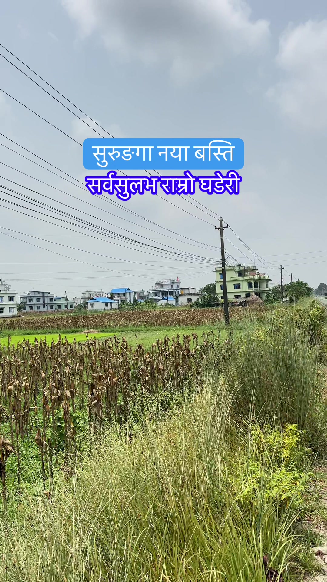 @Maikal ghar jagga