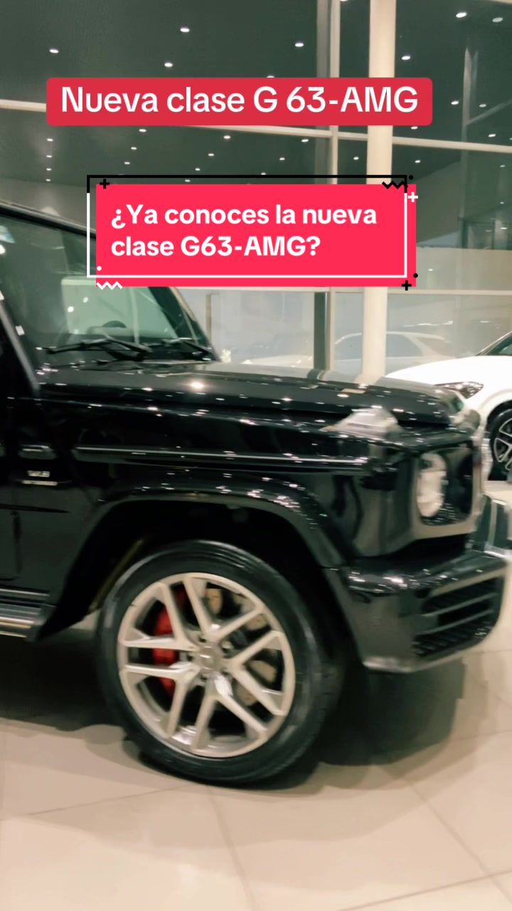 @leonardo Reck