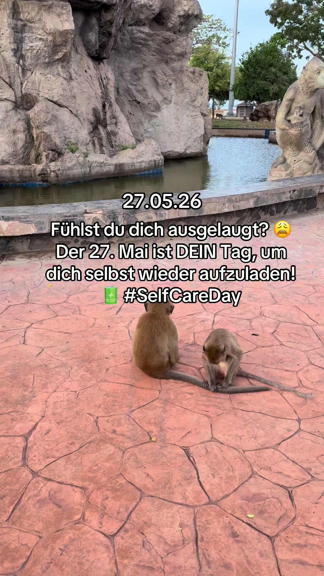 @numerologie_mit_kate