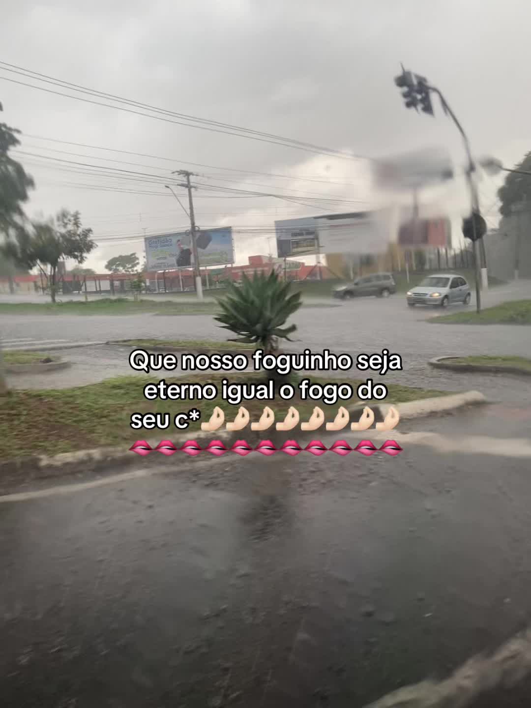 @y.alv3sz