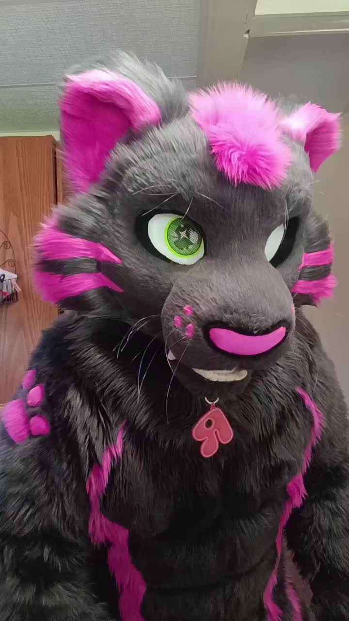 @dingbat 🐾 mew,mew 🐾