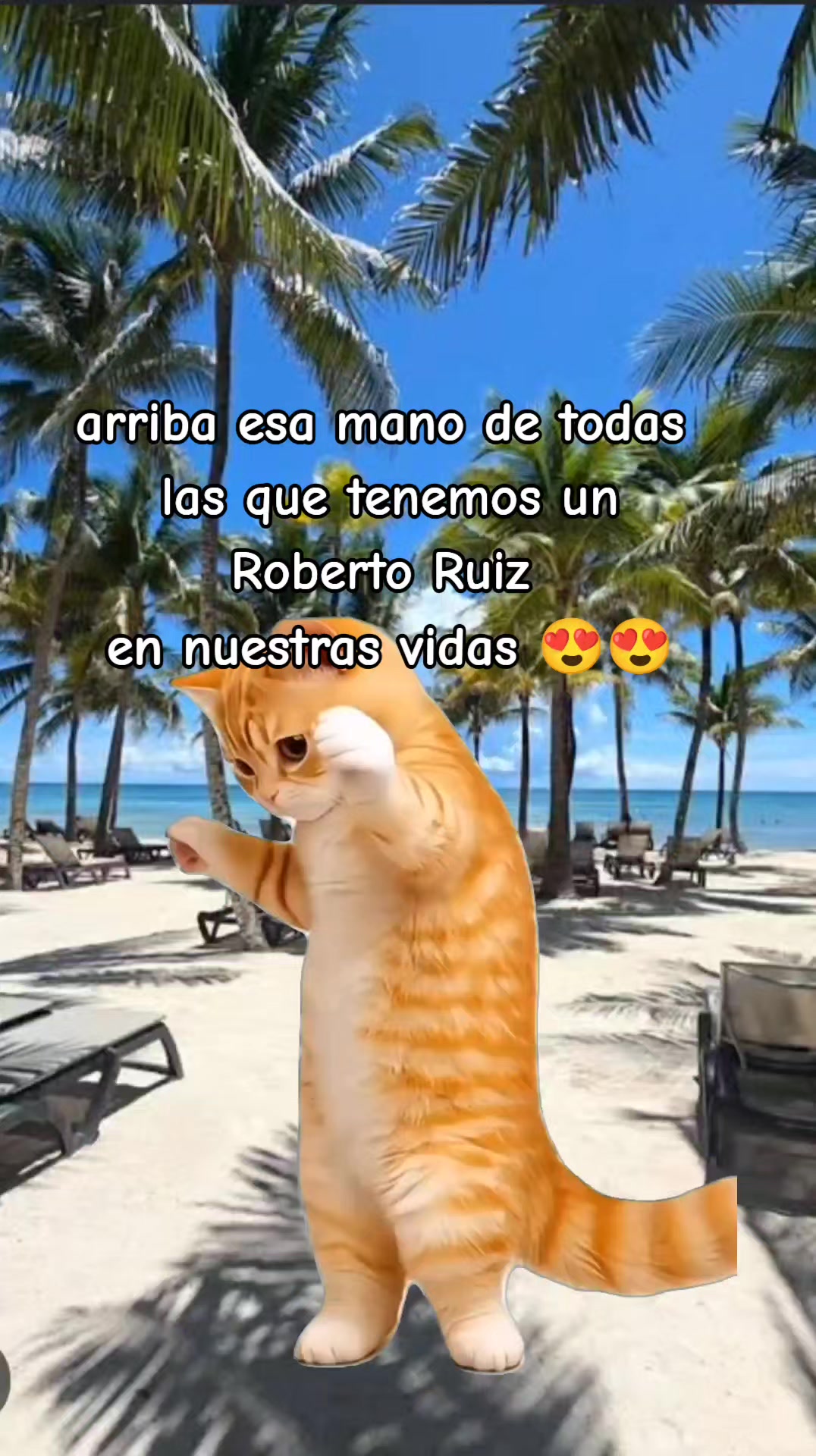 @Rossy Naviidad