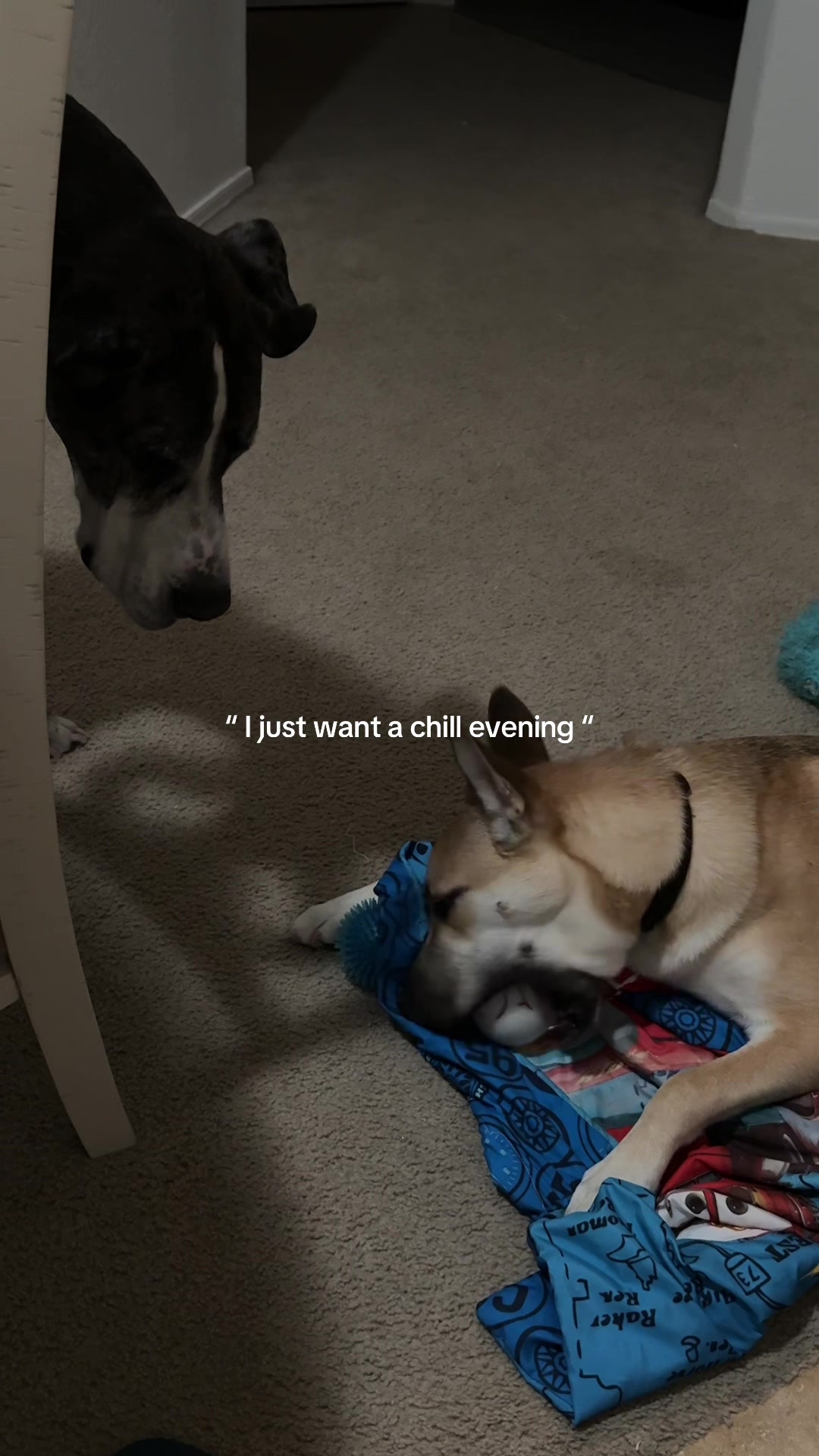 @Linkin the Dane