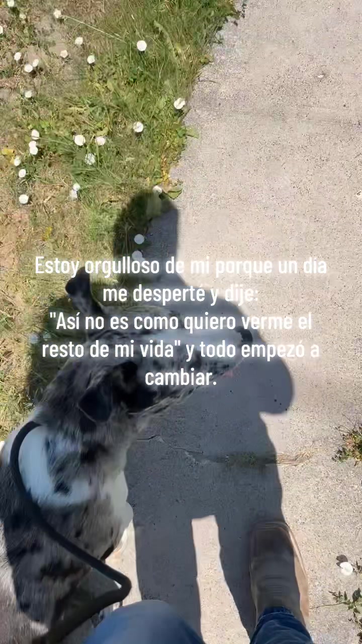 @♥️𝓜є𝓂Ø🤴