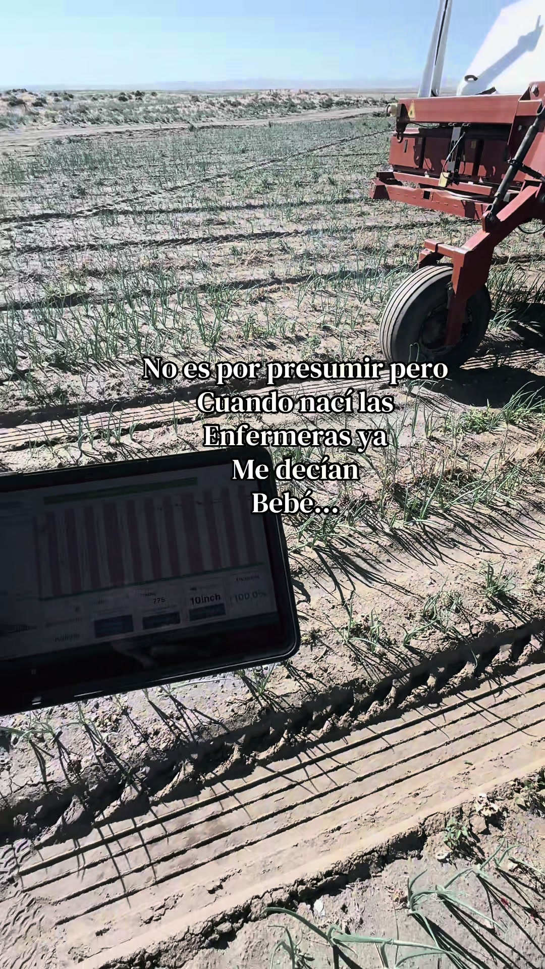 @MARTÍN 🍃