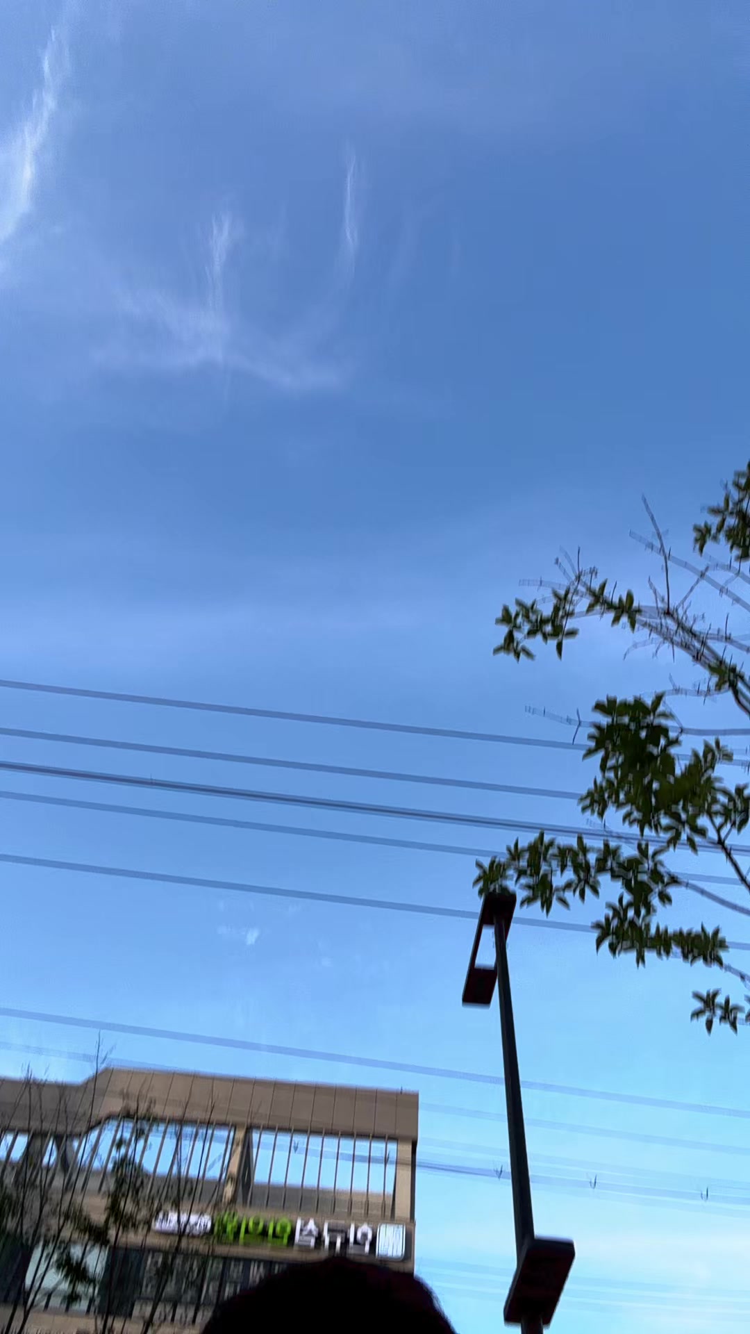 @अस्मिता श्रेष्ठ 🌷