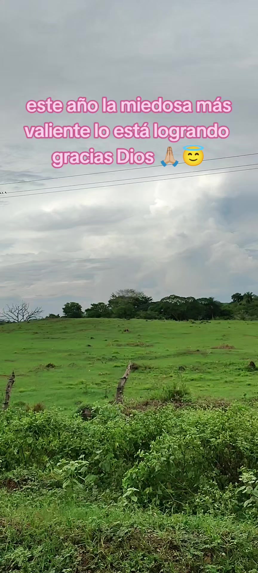 @martellonina