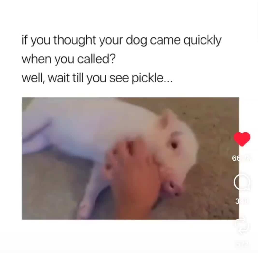 @Beanbagjohnny