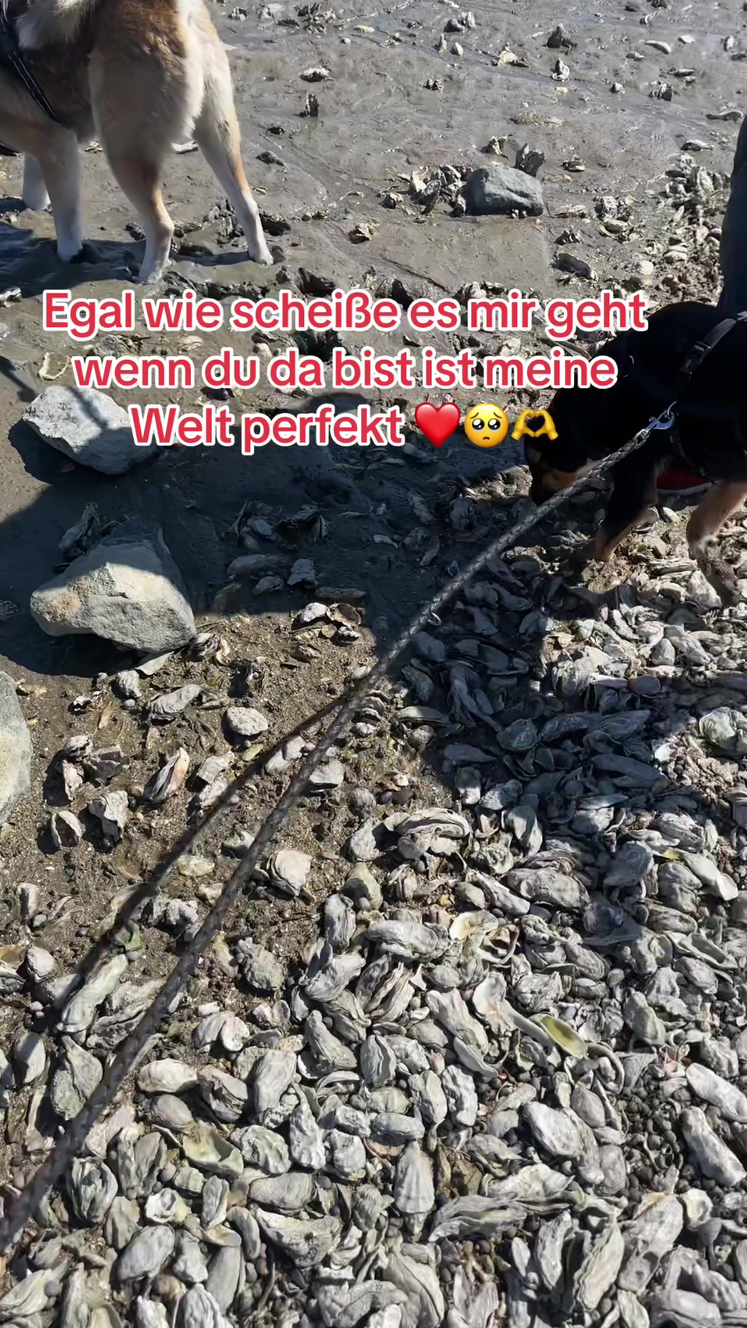 @Zwilingsmom