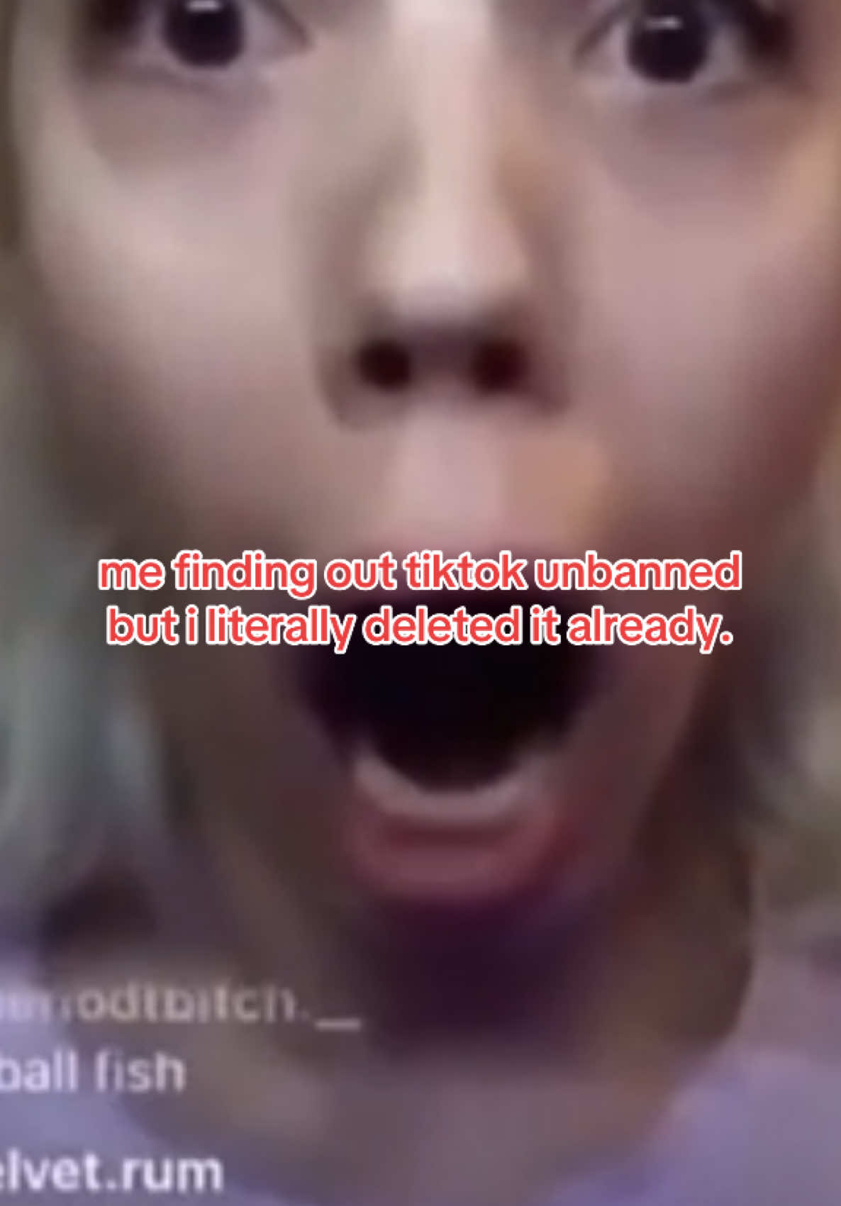 @wosetoytemu