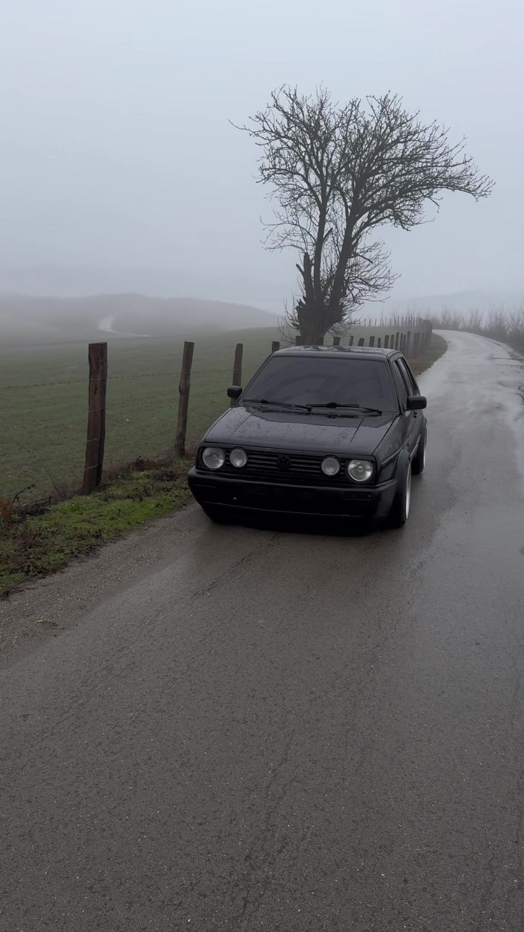 @Albert.Mk2