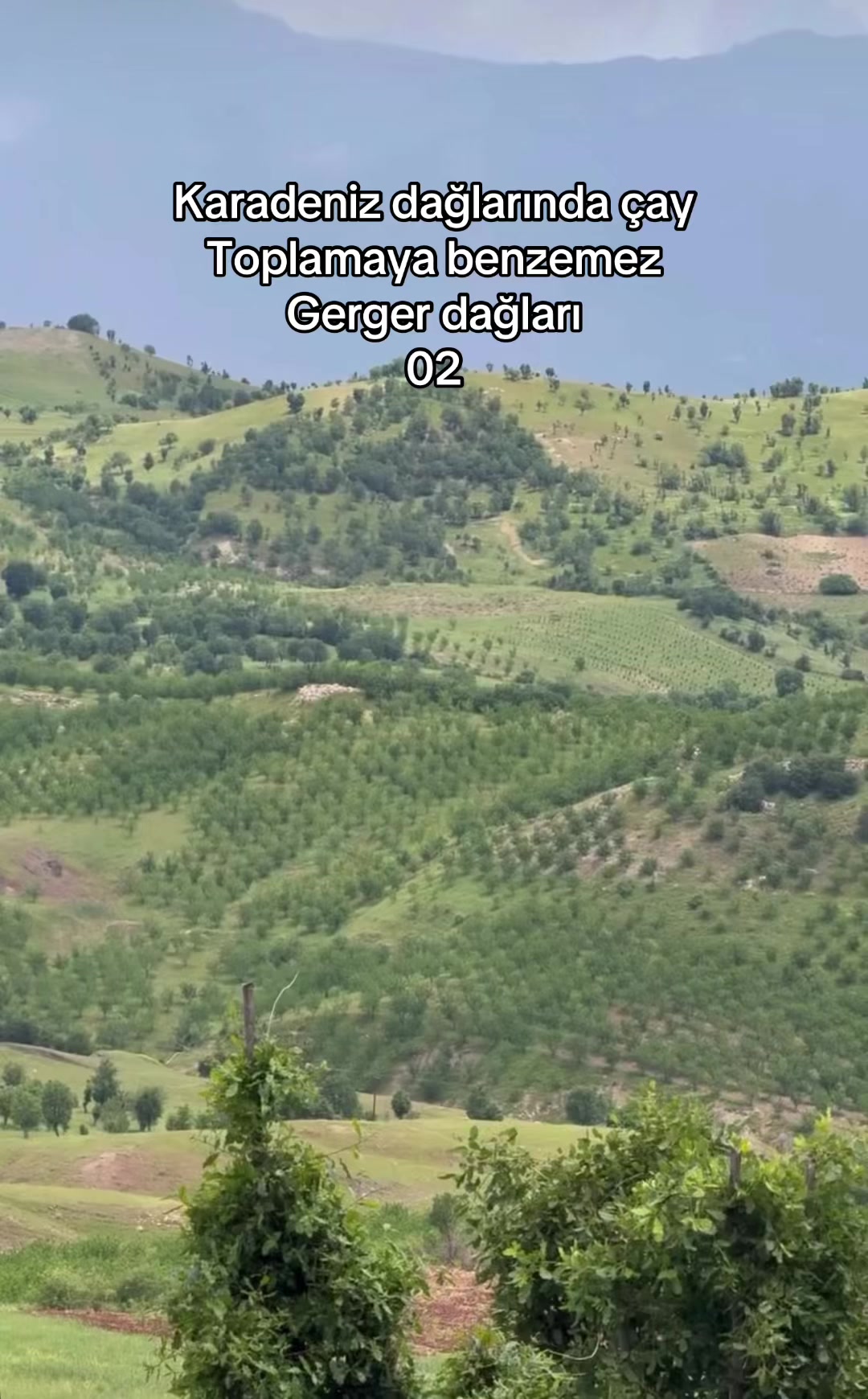 @mustafa_ozkan02