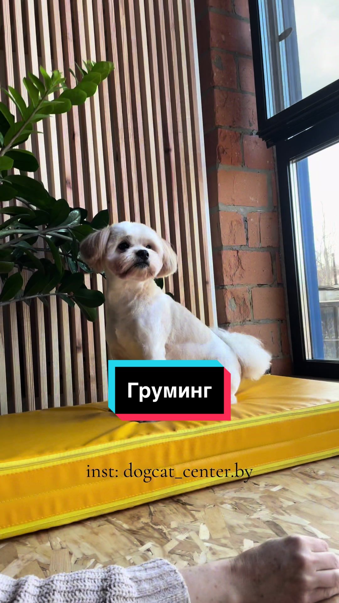 @dogcat_center.by