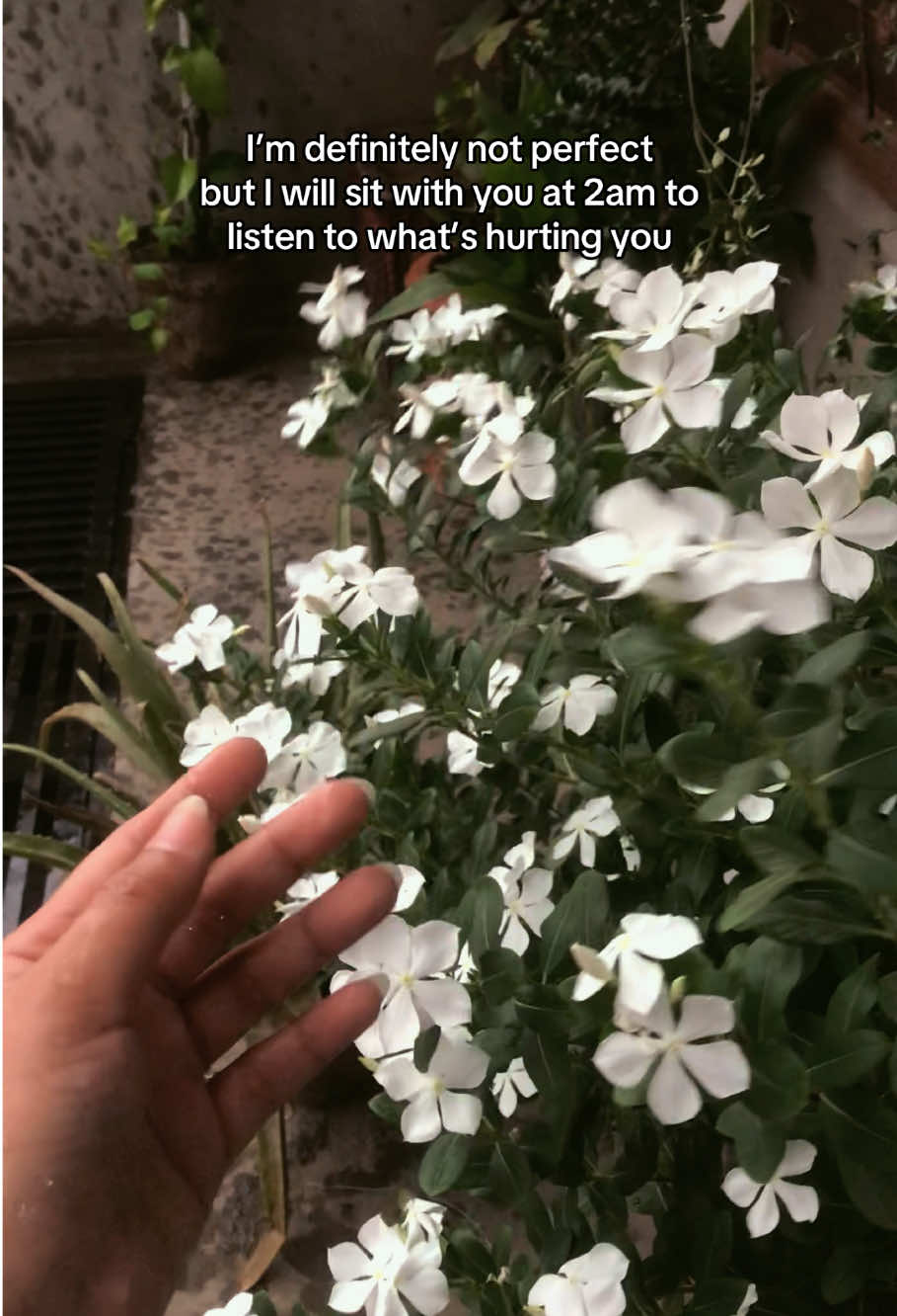 @꧁༺𝓐𝓶𝓫𝓮𝓻༻꧂