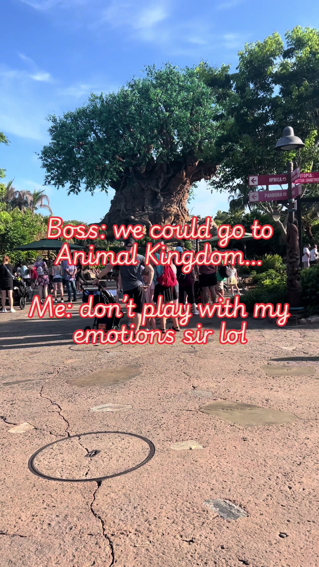 @sarah.disneytravelteach
