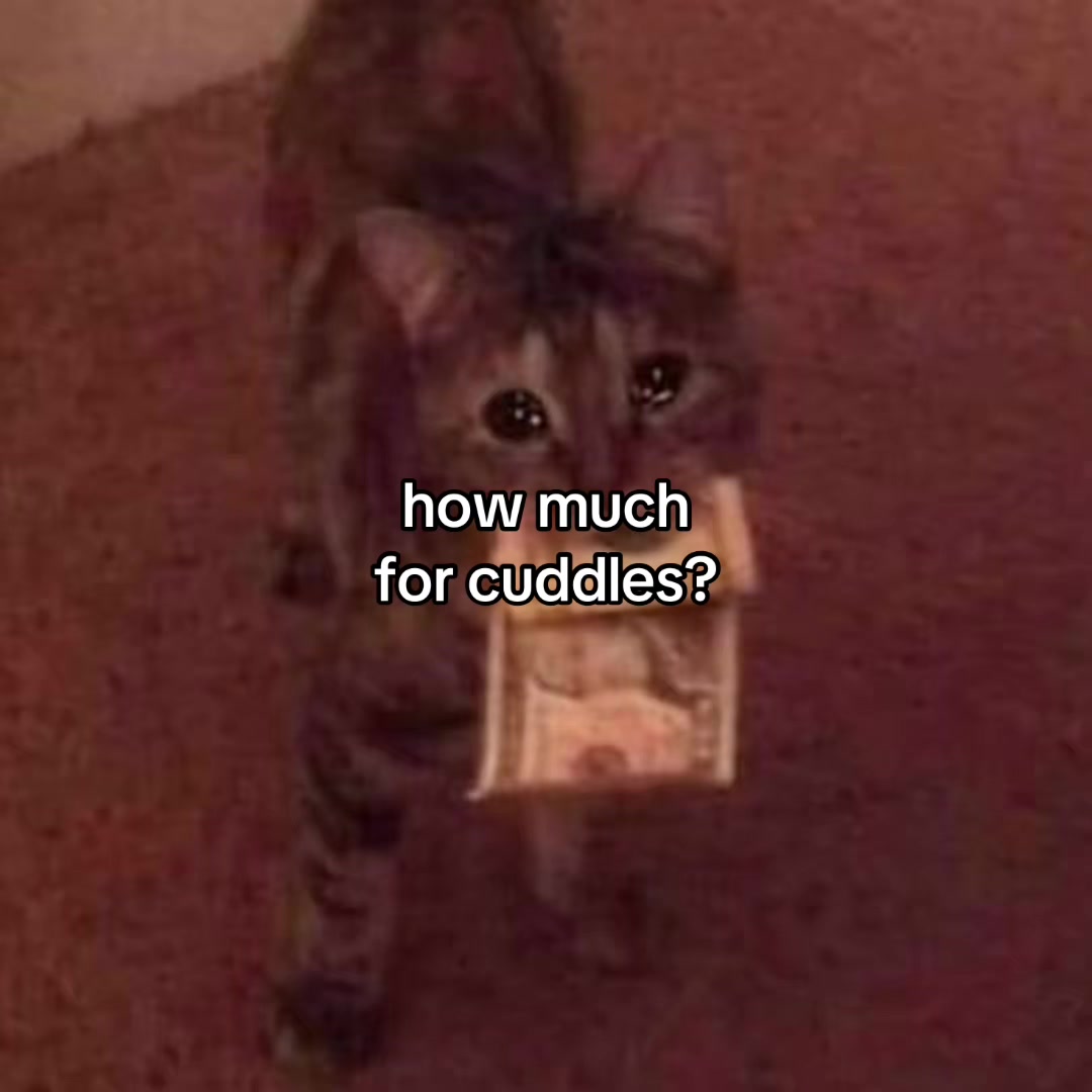 @Alice.cattok
