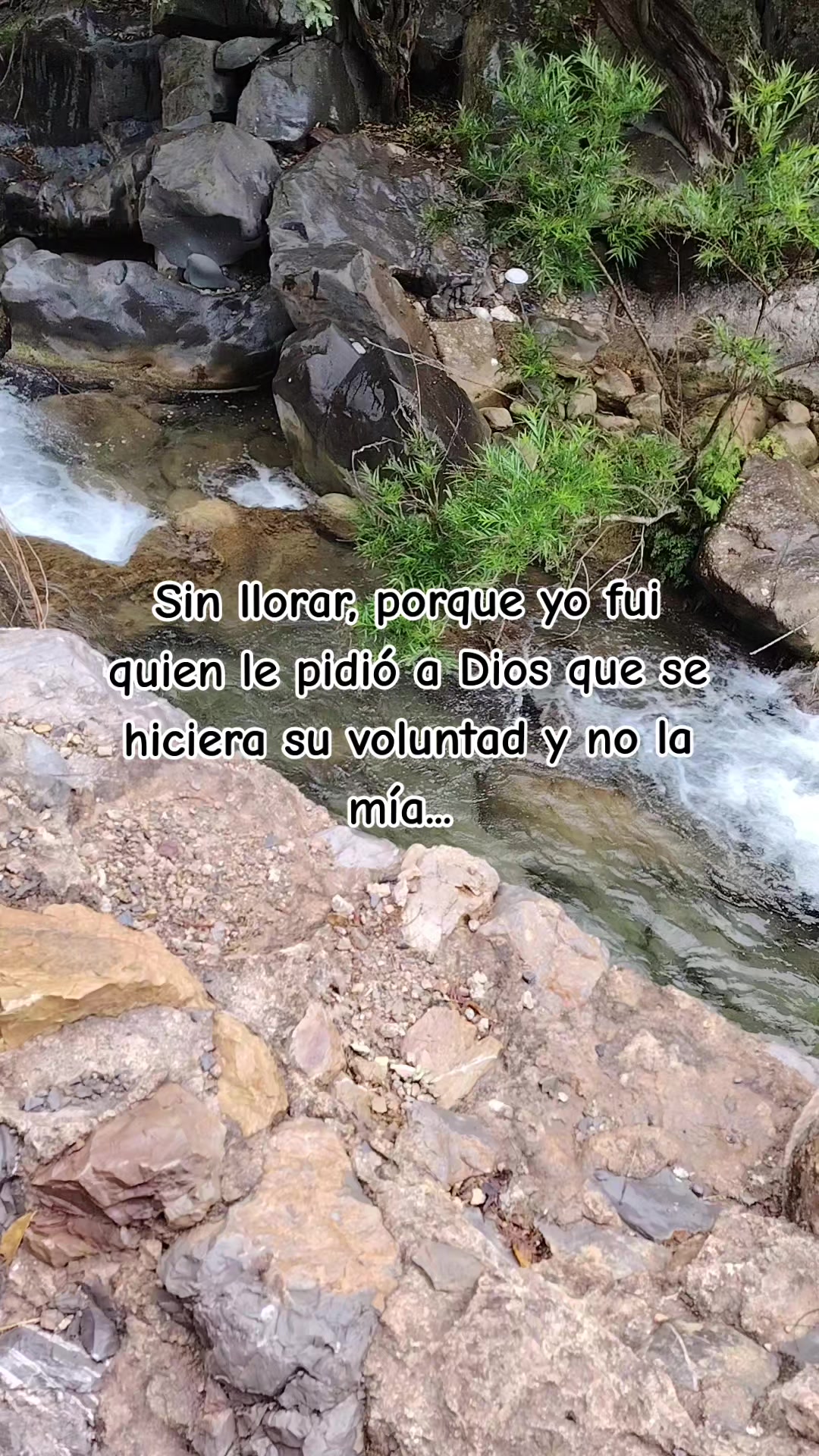 @Jimena Mtz