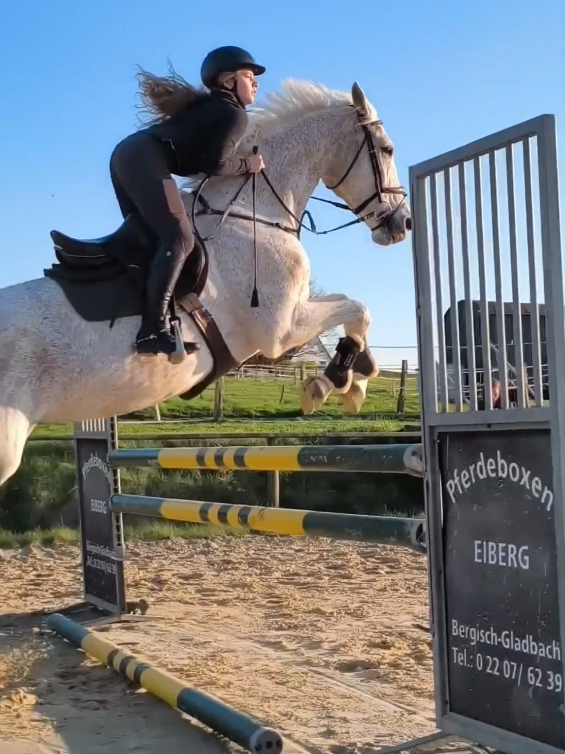 @Spring"Pony"Casha