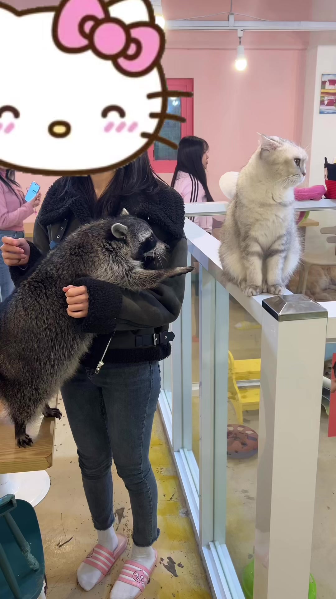 @미어캣족장