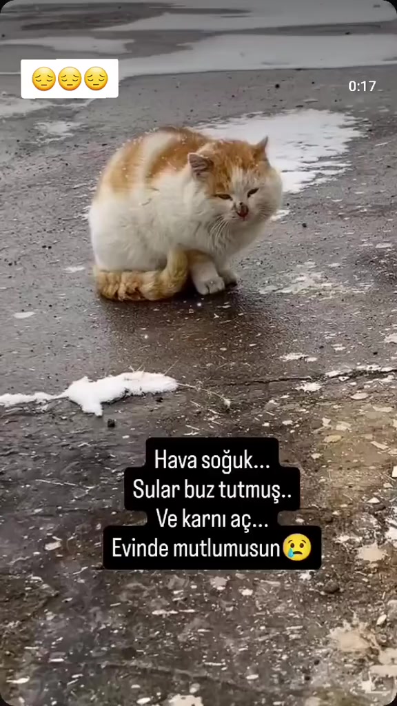 @MUSTAFA38