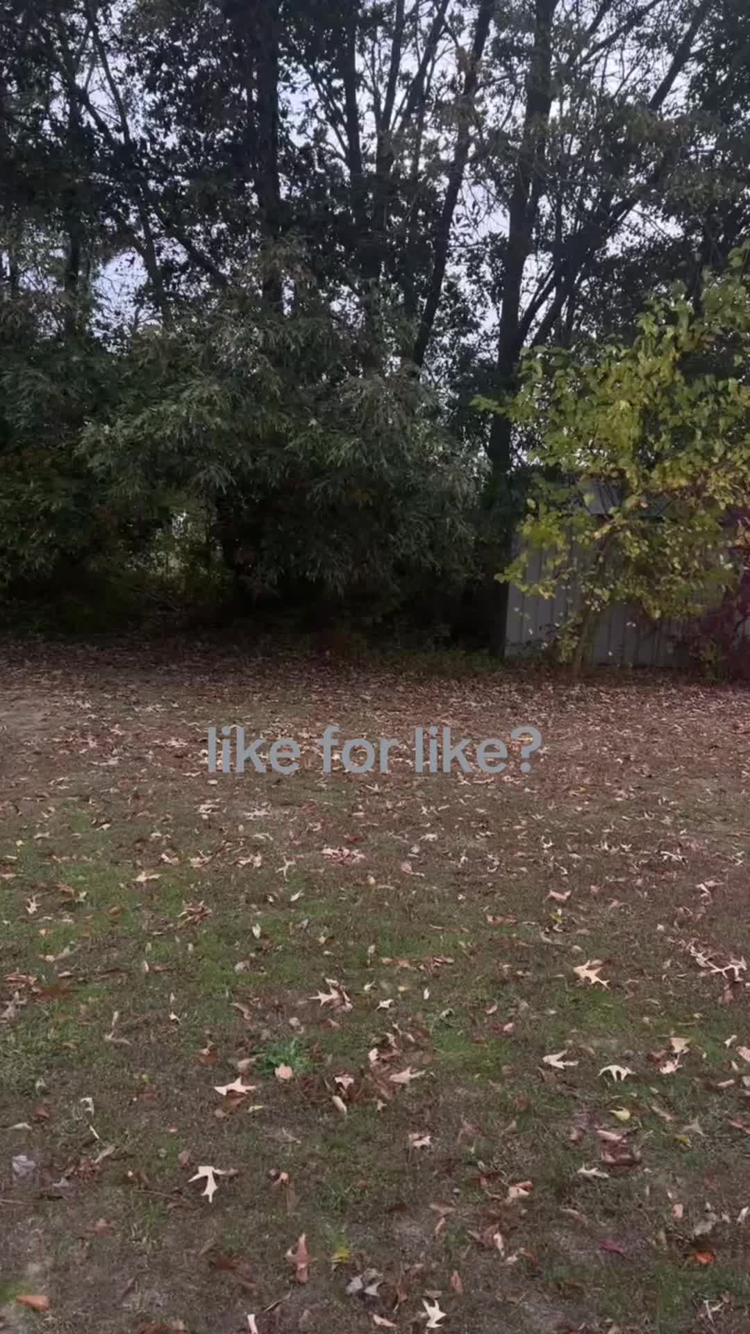 @like my reposts
