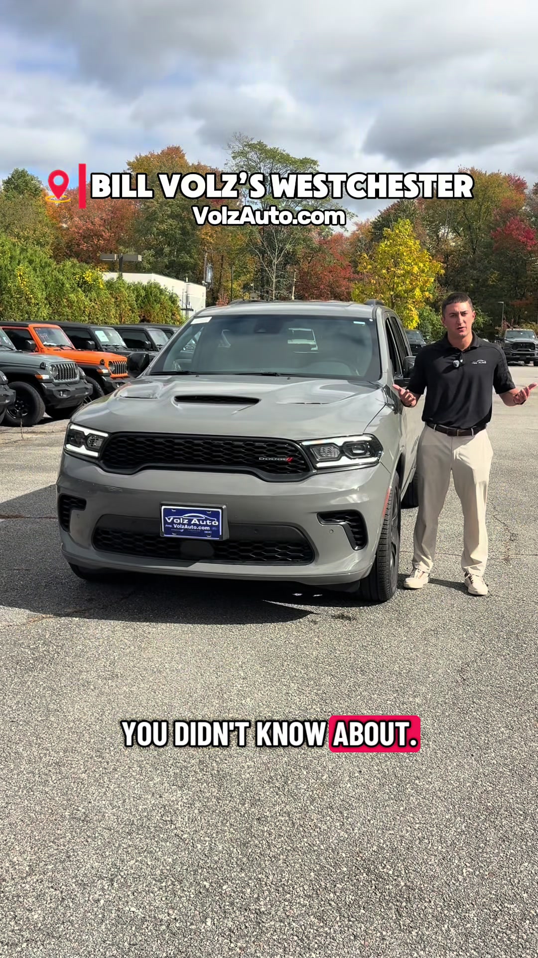 @Volz Auto