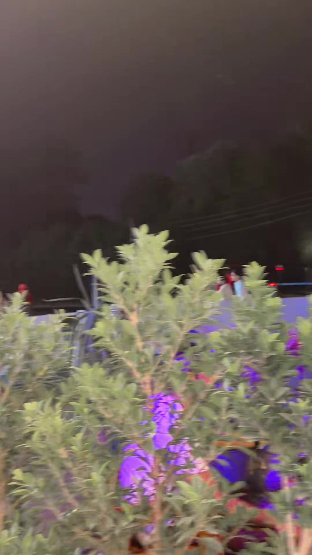 @𝐈𝐧𝐬𝐡𝐔 𝐠𝐮𝐥𝐥🎶🎶