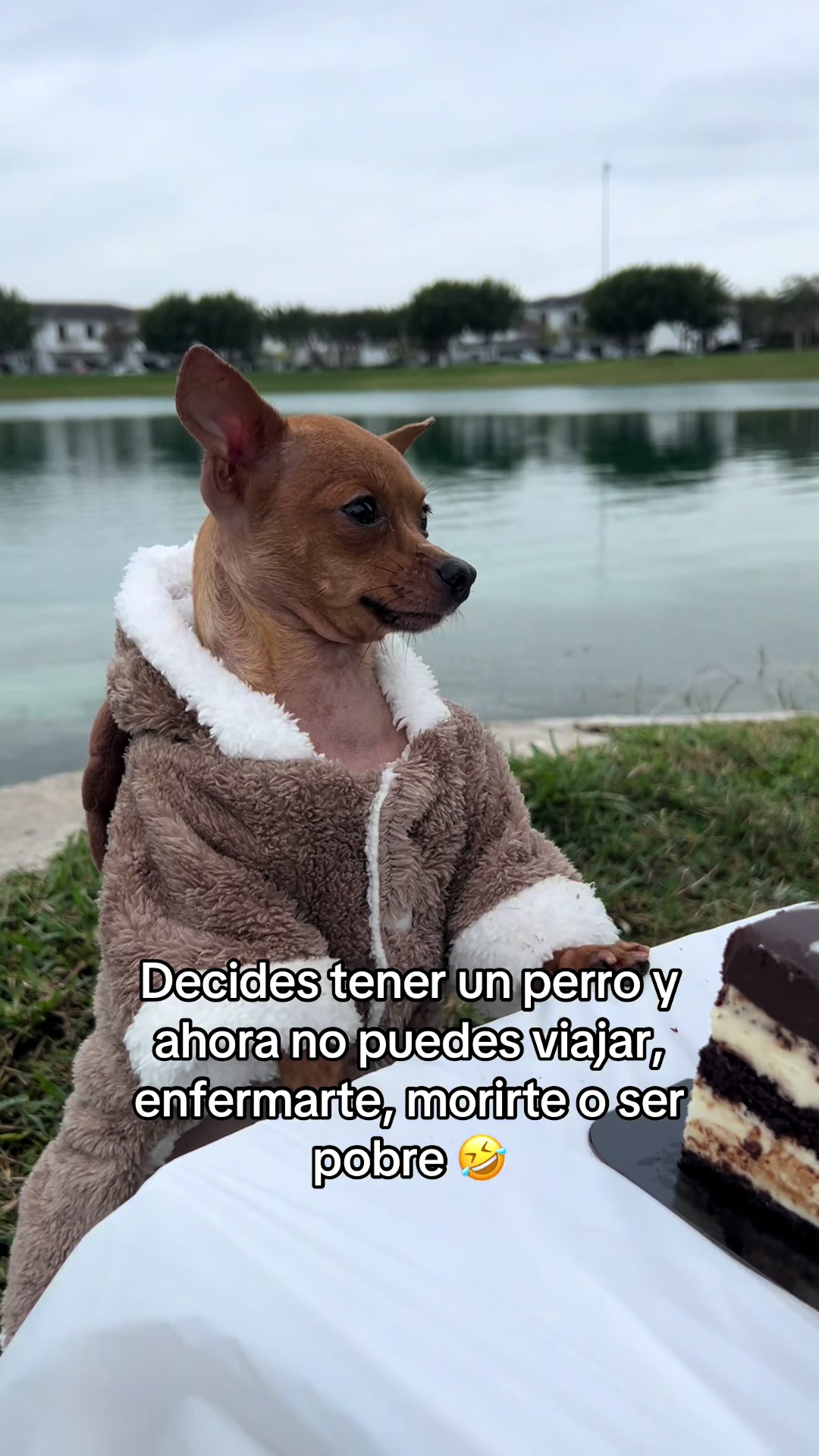 @Gloria Hernandez