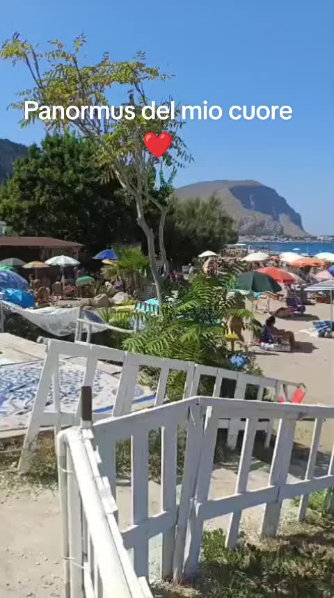 @Daniela Semilia
