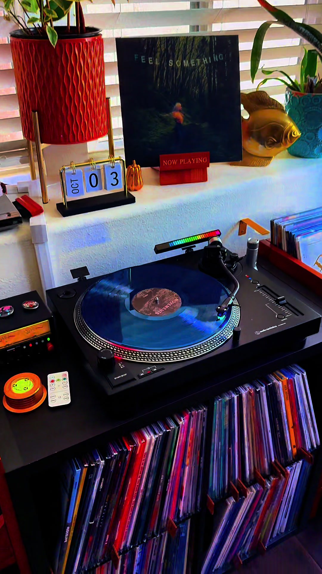@Vinyl Daily Plays
