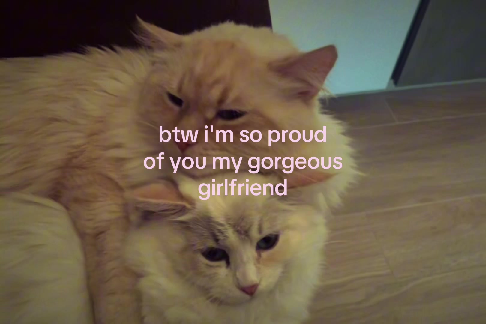 @sxalenz
