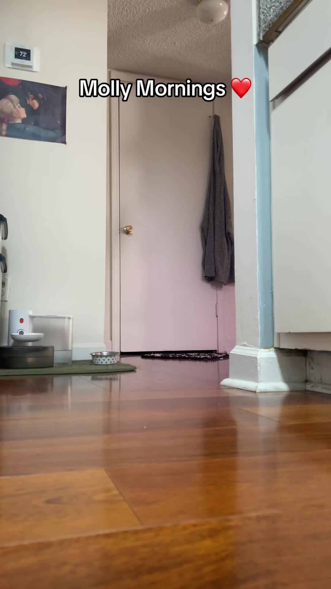 @Carol 🤺