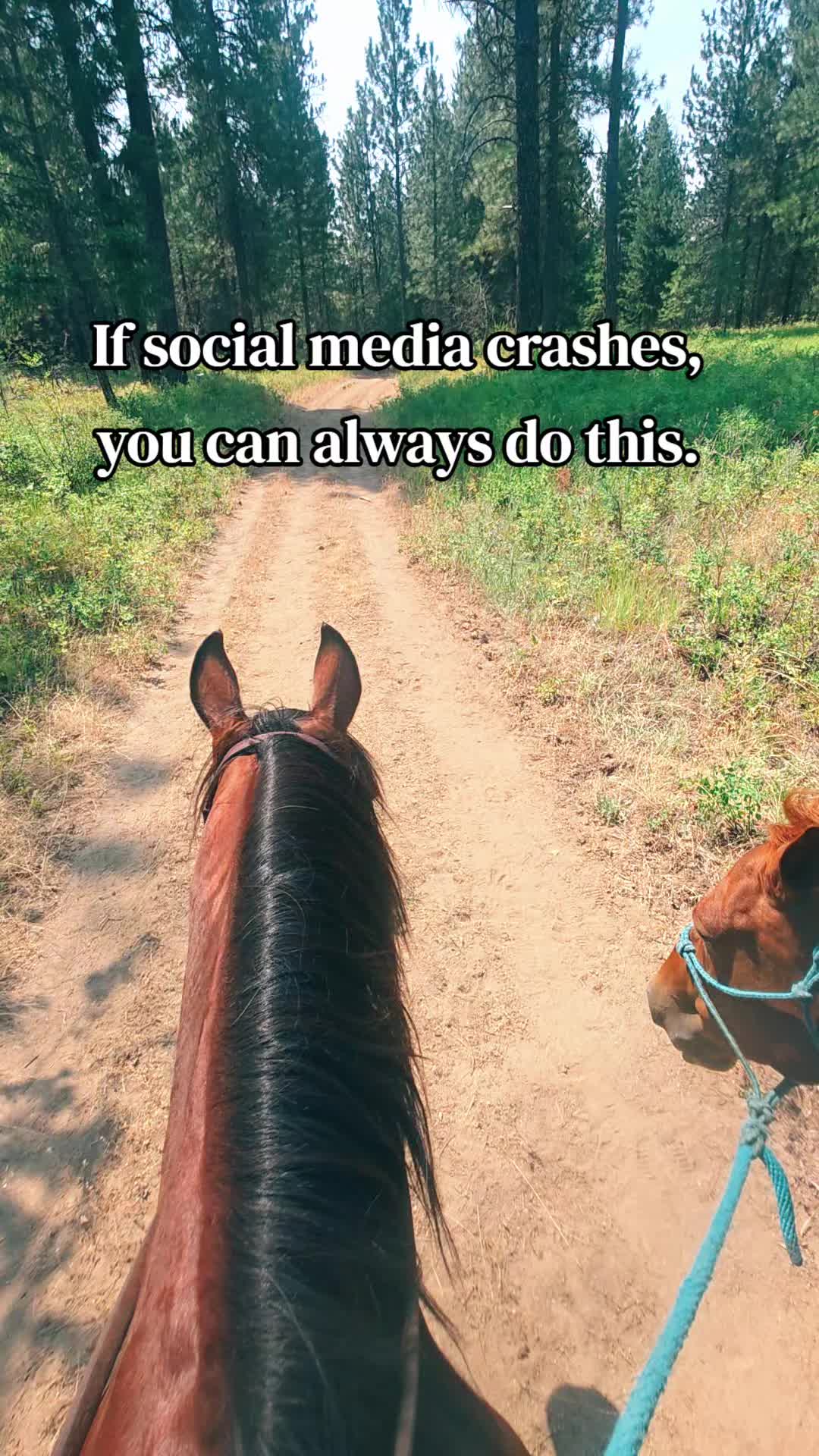@🐴 ColdMountainRanch 🏇