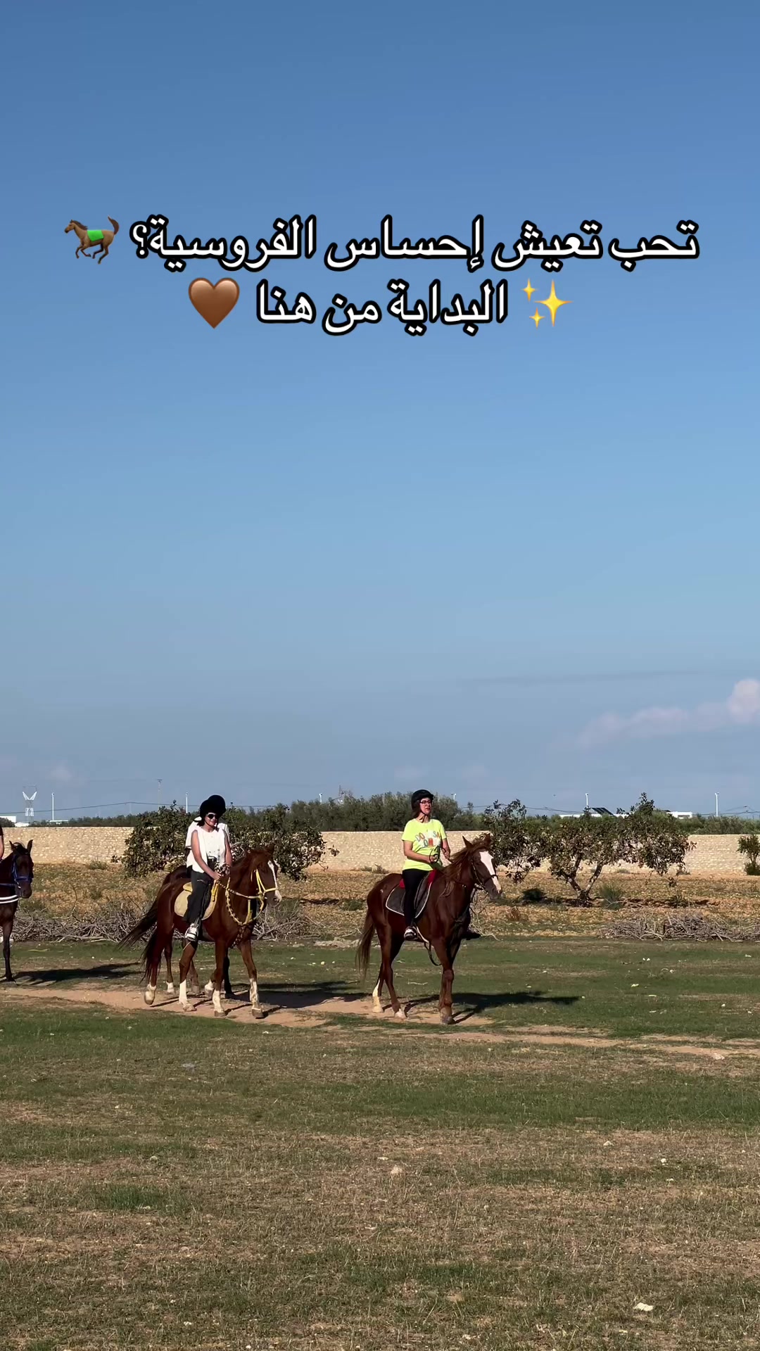 @Feres Ben Amor 🏇