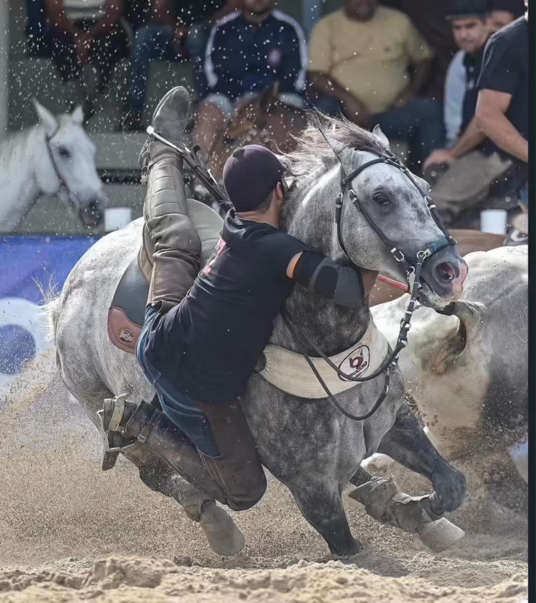 @forró de vaquejada