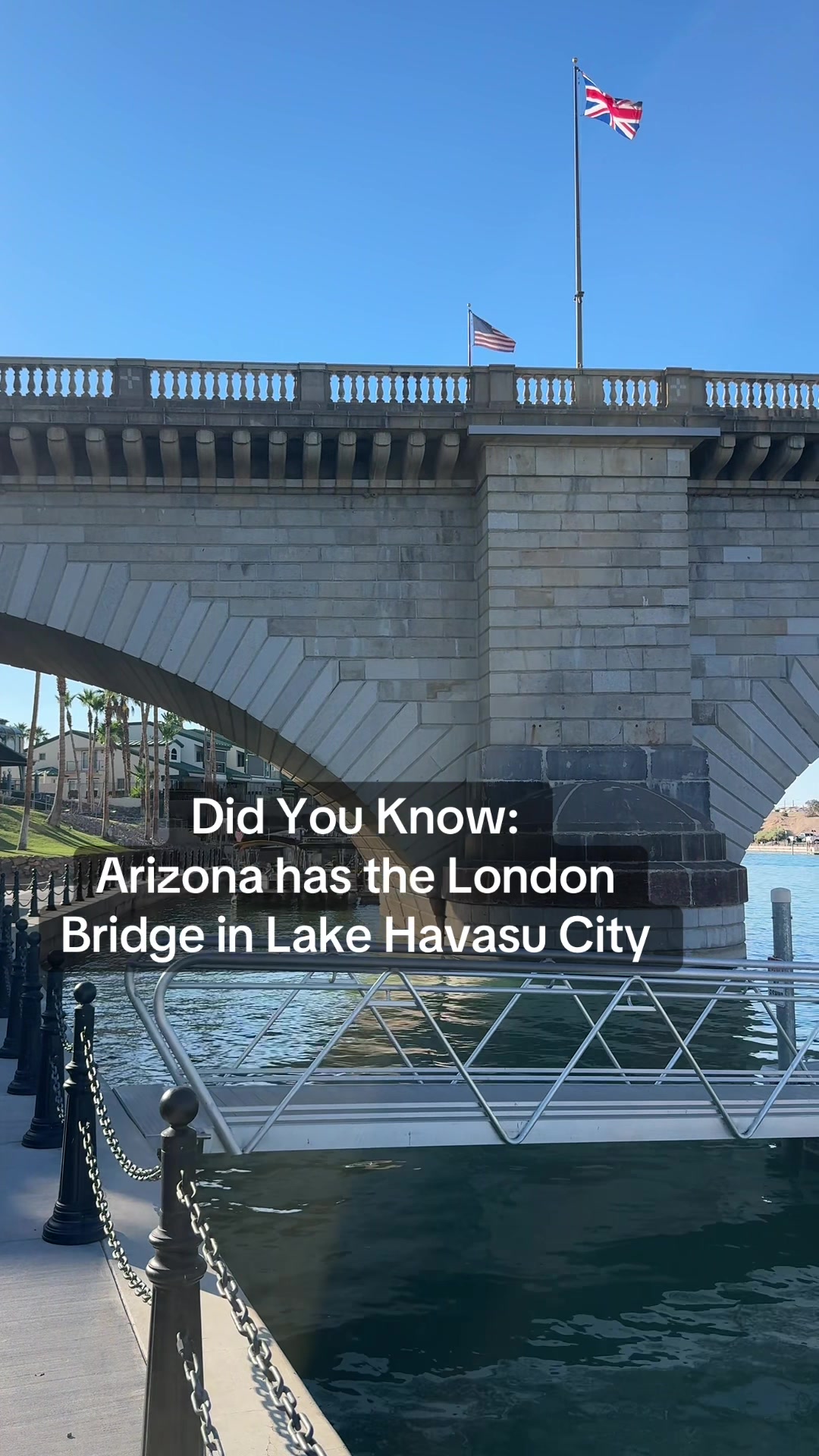 @ArizonaTribe