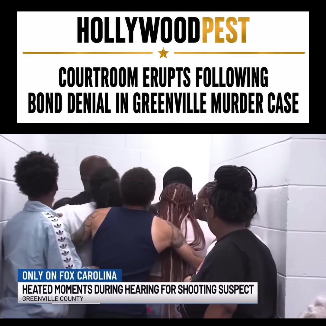 @hollywoodpest
