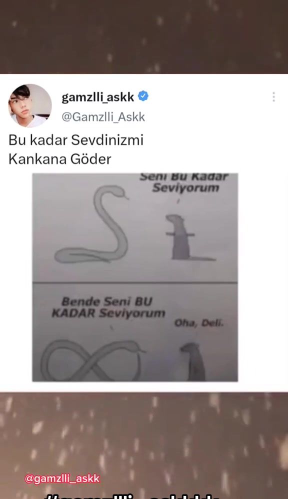 @tweetci_gamzlli_askk