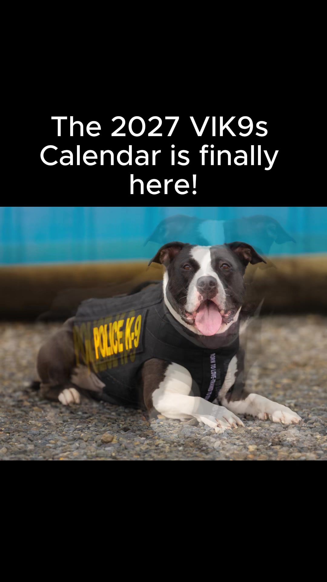 @Vested Interest in K9s, Inc.