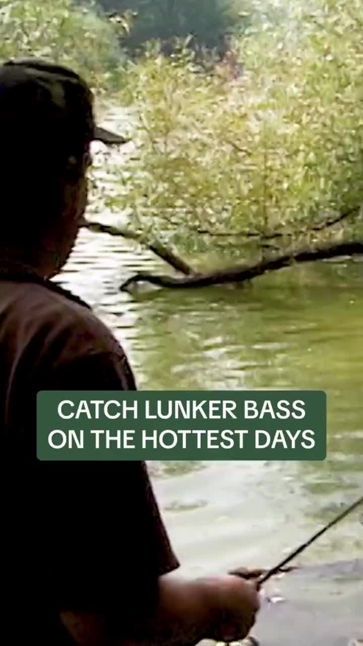 @Lunkerville