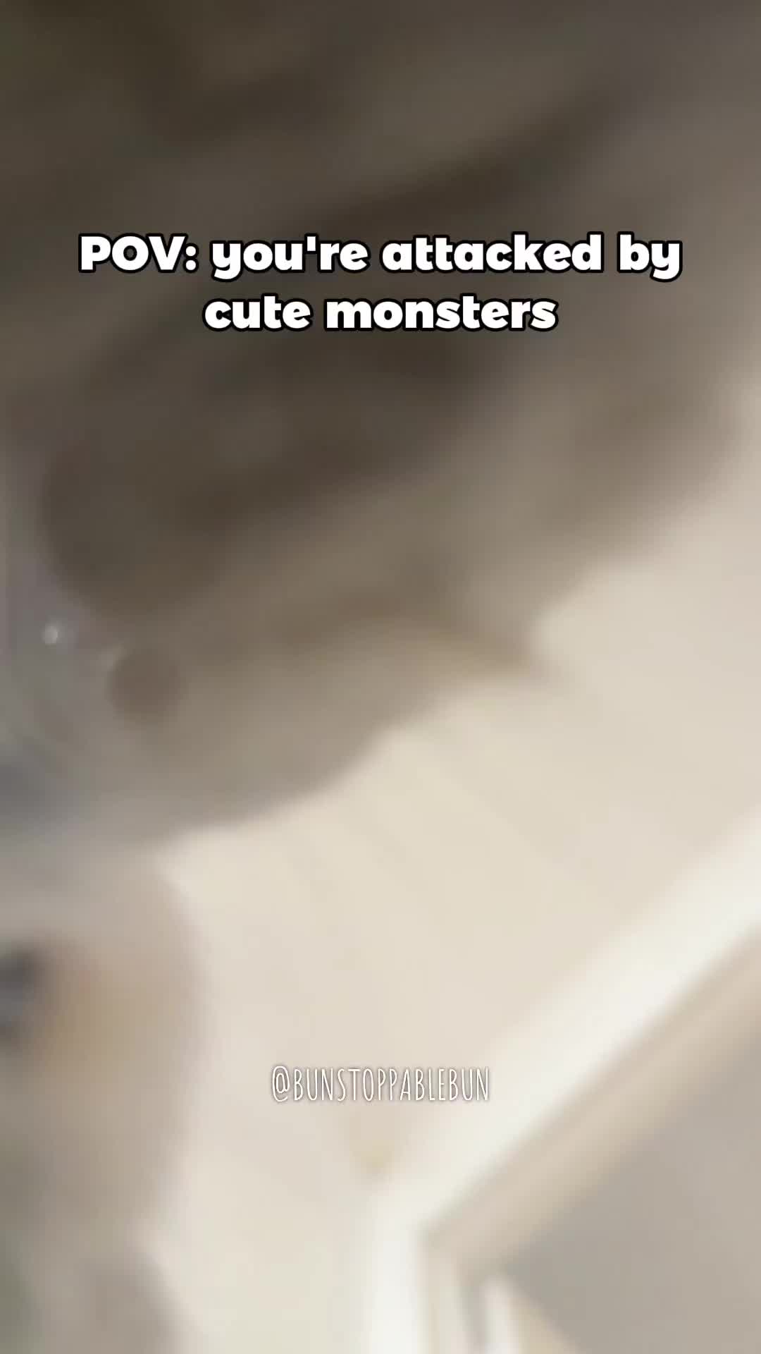 @BunBun, Mochi🌈, Chewy