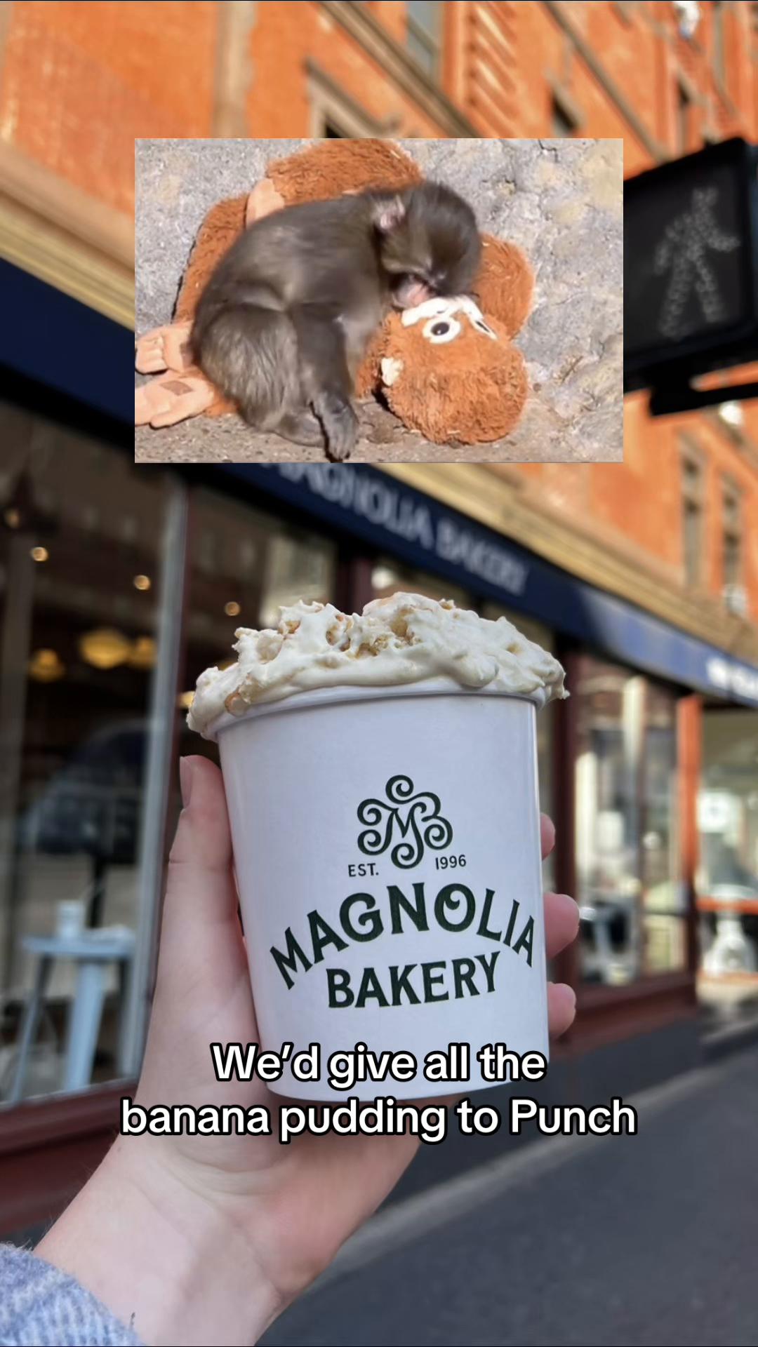 @Magnolia Bakery