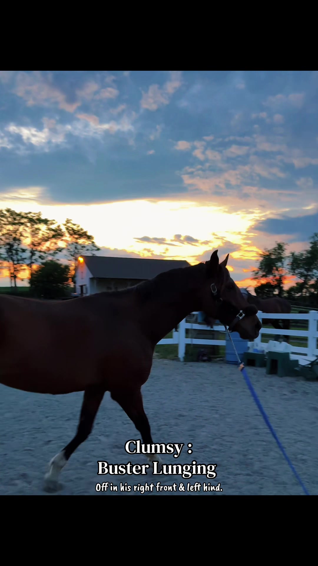 @Danigurl🦮🏇🌅🏳️&zwj;🌈