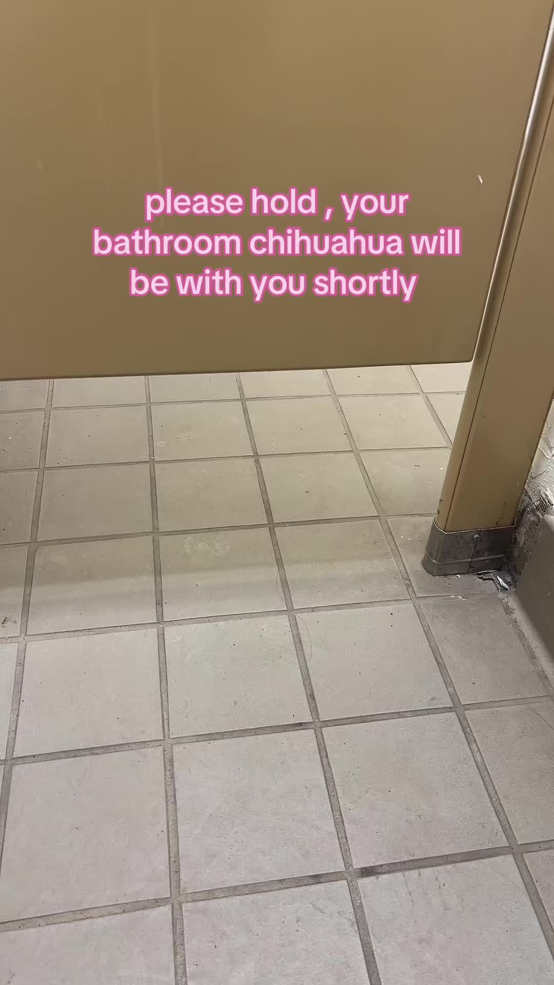@M A D I ๐๐ชฉ๐โจ๐ฑ๐ธ