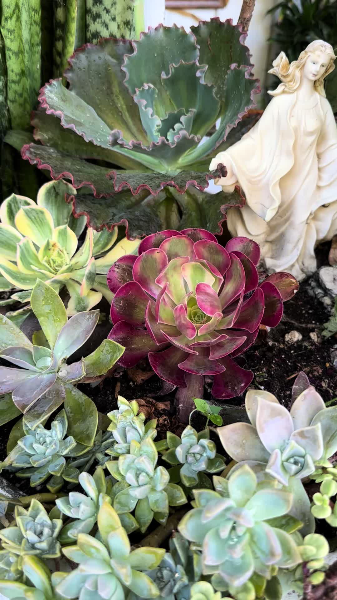 @RemesGarden