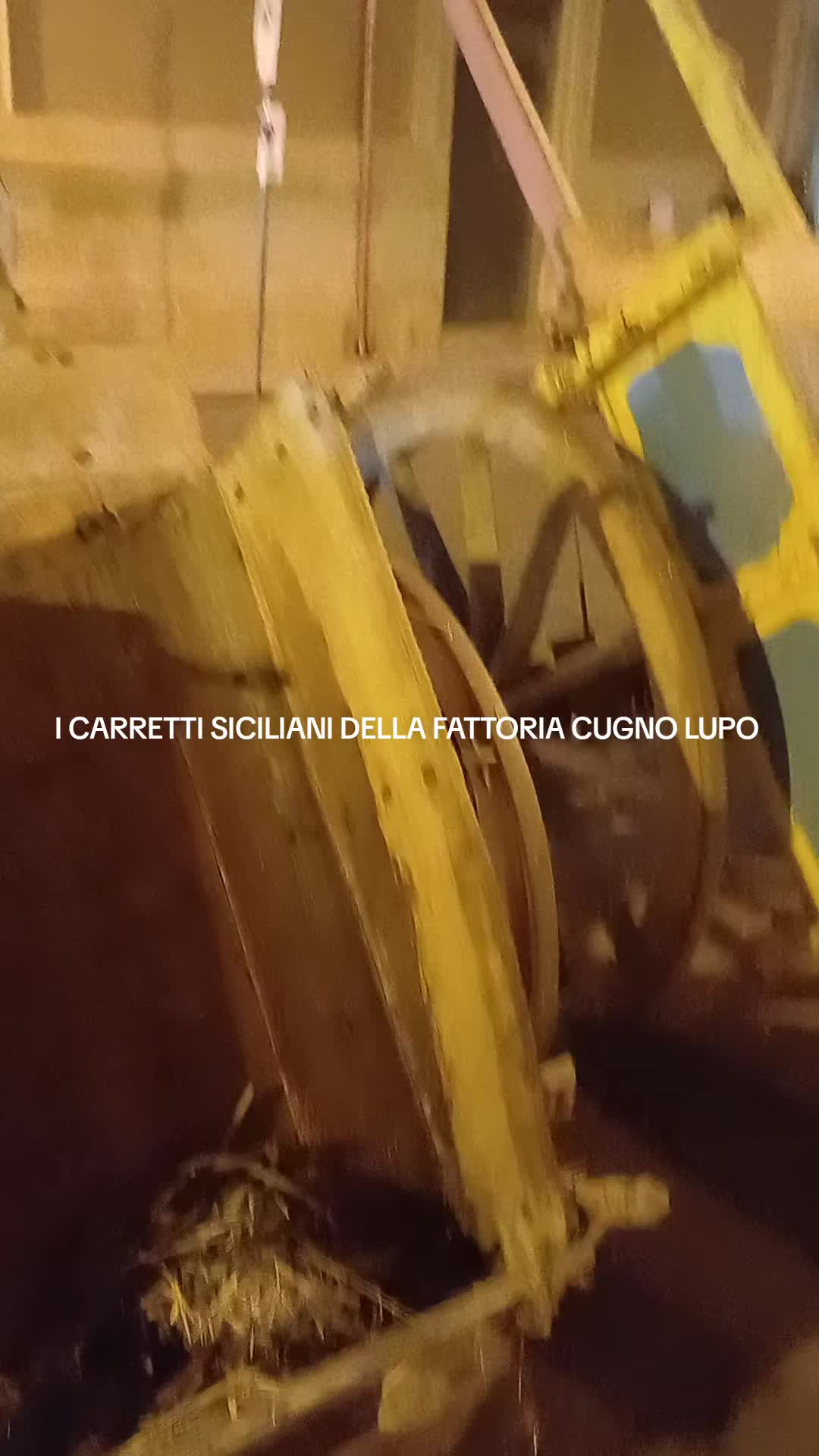 @ENZO CAVALIERI