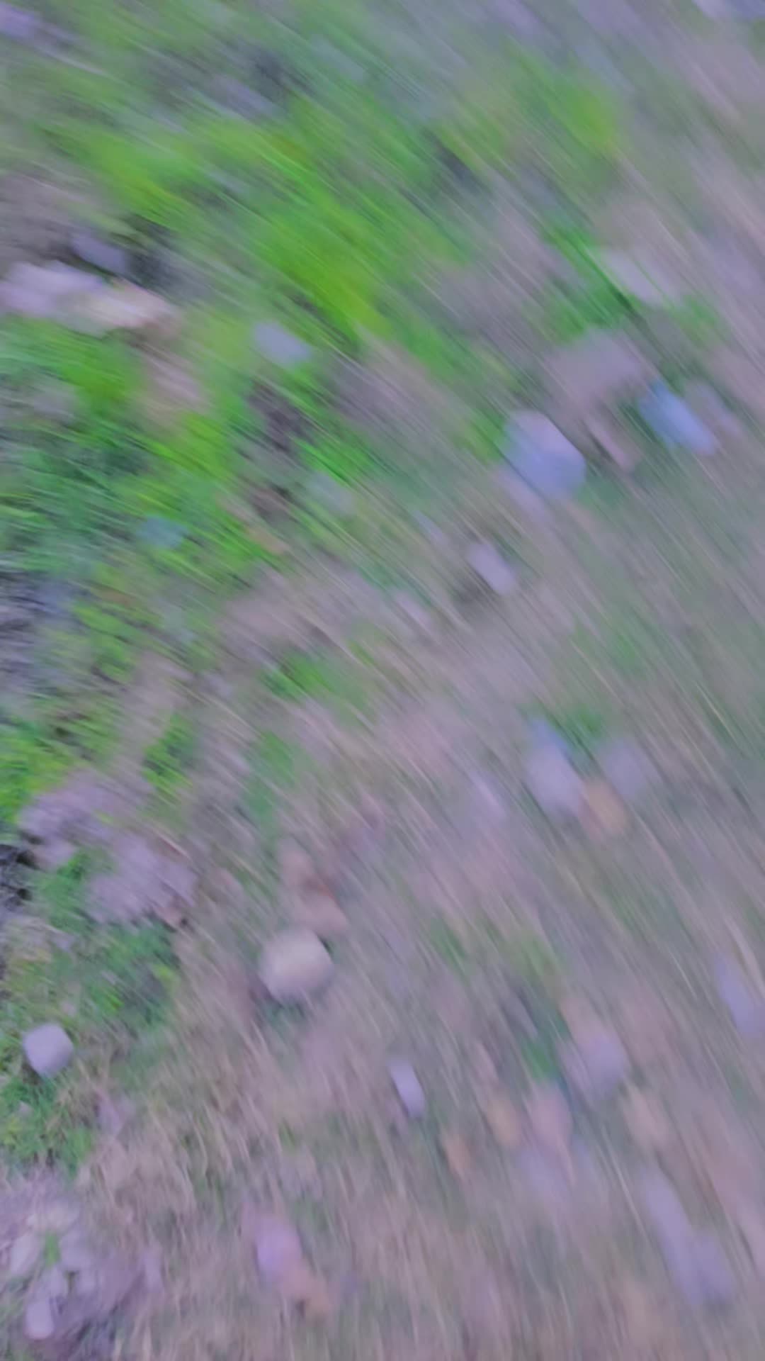 @A𓆩♡𓆪 R❤️