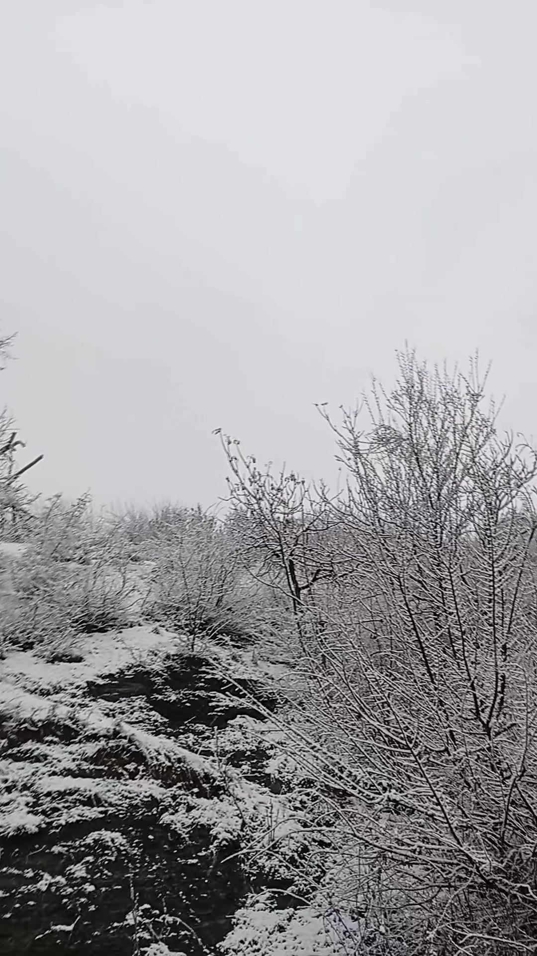 @ÖZ_DÜNYAM