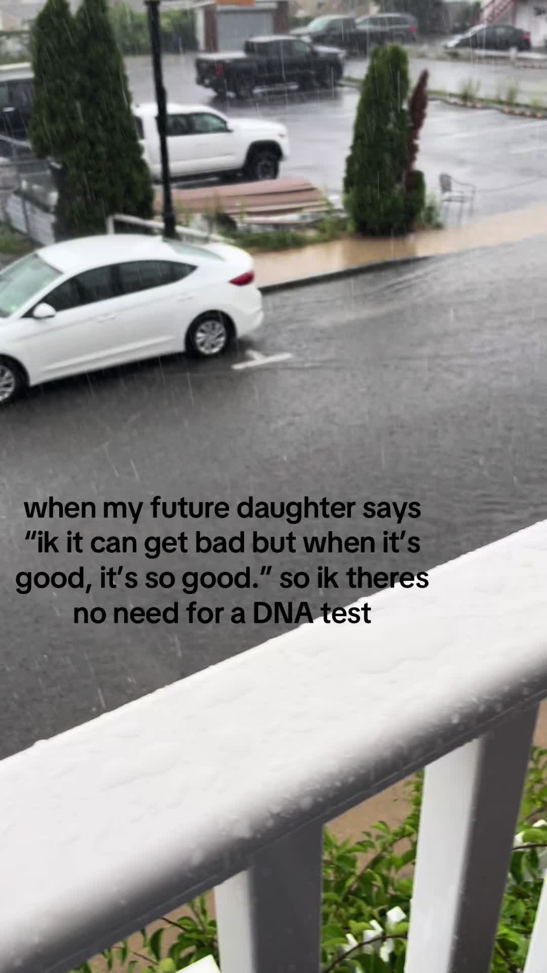 @444🪽